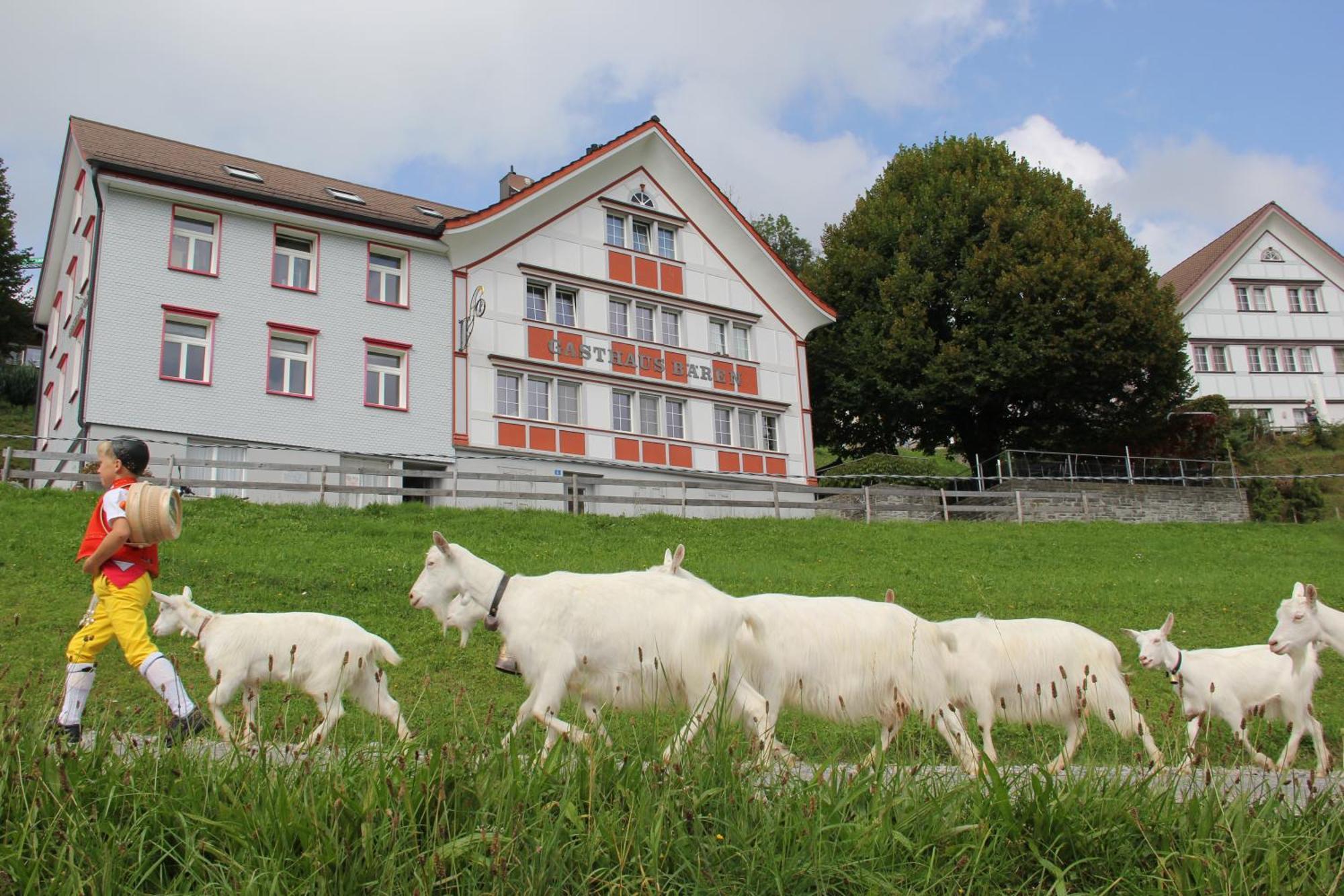 Hotel Gasthaus Baren Schlatt Appenzell Exteriér fotografie